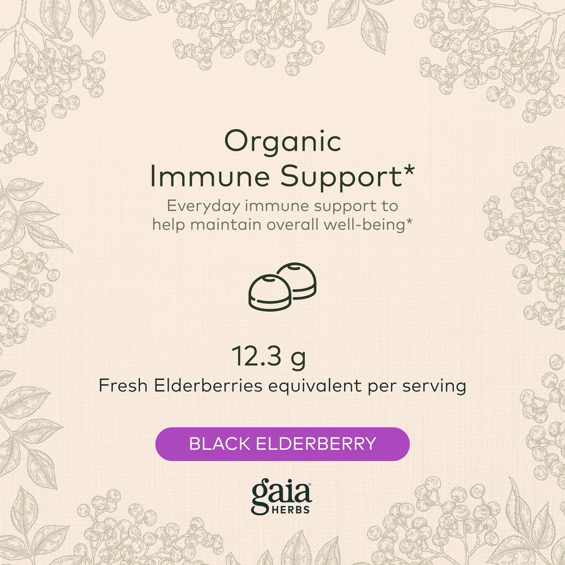 Gaia Herbs Black Elderberry (Sambucus Nigra) Extra Strength Gummies Gaia Herbs Au supplements