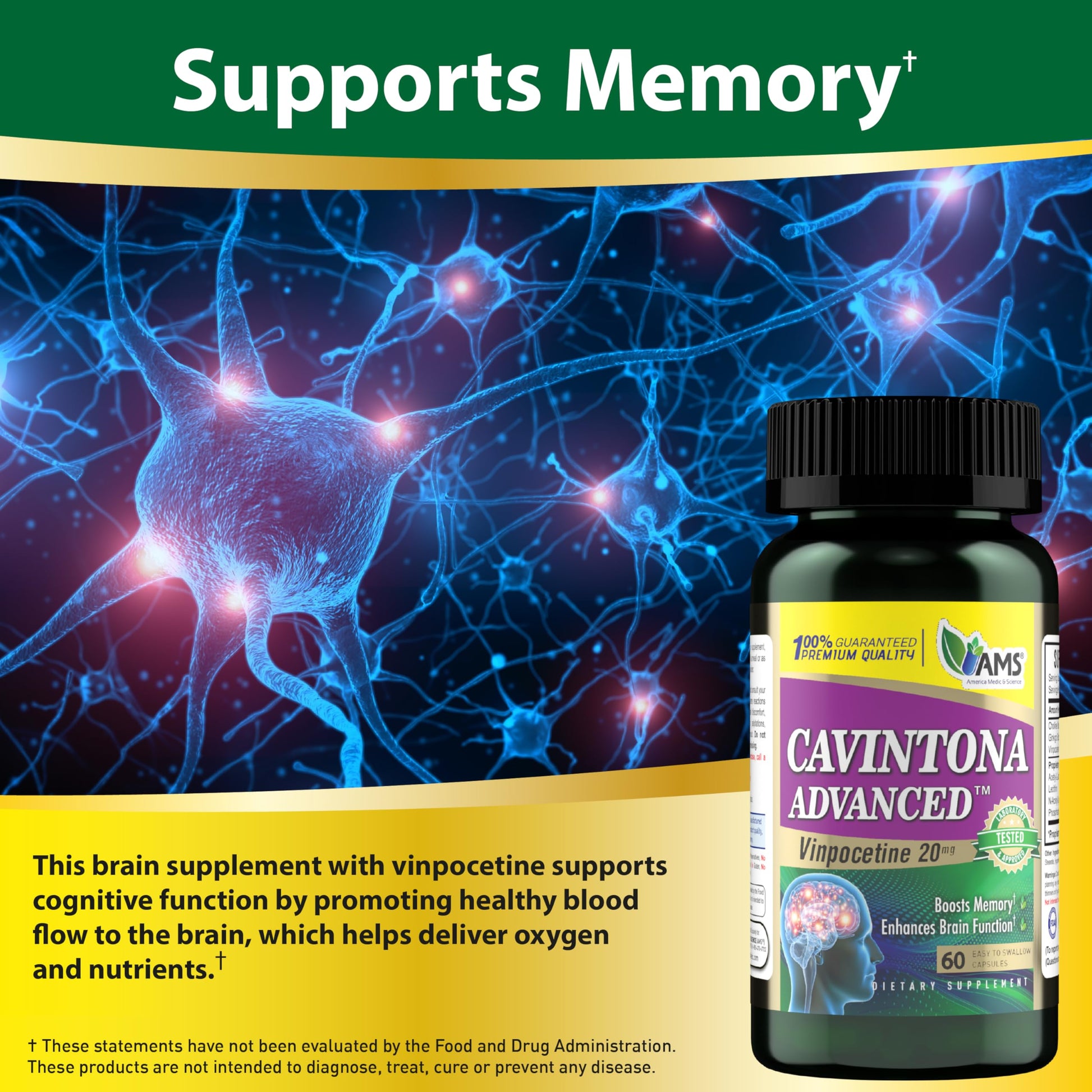 America Medic & Science Cavintona Advanced Supplement – Vinpocetine 20mg for Memory, Recall & Brain Health – Supports Cognitive Function, Focus, Mental Clarity & Blood Flow – 60 Capsules America Medic & Science Au supplements