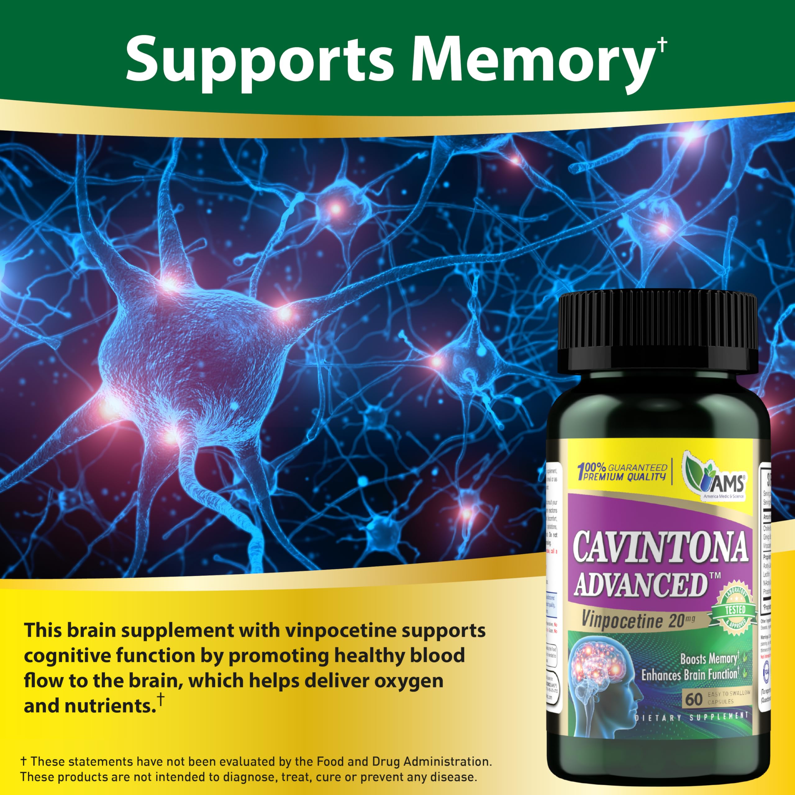 America Medic & Science Cavintona Advanced Supplement – Vinpocetine 20mg for Memory, Recall & Brain Health – Supports Cognitive Function, Focus, Mental Clarity & Blood Flow – 60 Capsules America Medic & Science Au supplements
