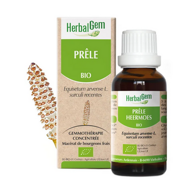 Macérat mère de Prêle BIO 30 ml HERBALGEM