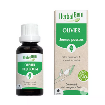 Olivier BIO Macérat mère 30 ml HERBALGEM