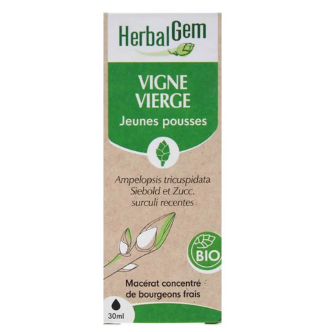 Vigne vierge BIO Macérat mère bourgeons Flacon 30 ml HERBALGEM